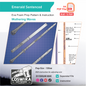 Emerald Sentenced Weapon Prop Pattern Template – EVA Foam Pattern for Cosplay and DIY Builds Inspired by Wuthering Waves
