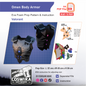 Omen Body Armor Prop Pattern Template – EVA Foam Pattern for Cosplay and DIY Builds Inspired by Valorant