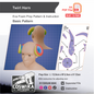 Twirl Horn Prop Pattern Template – EVA Foam Pattern for Cosplay and DIY Builds Inspired by Fantasy Creature Style